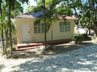 7 Raviana Road, Kingston / St. Andrew, Jamaica - Apartment for Lease/rental